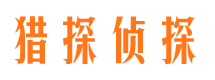 威信私家调查公司